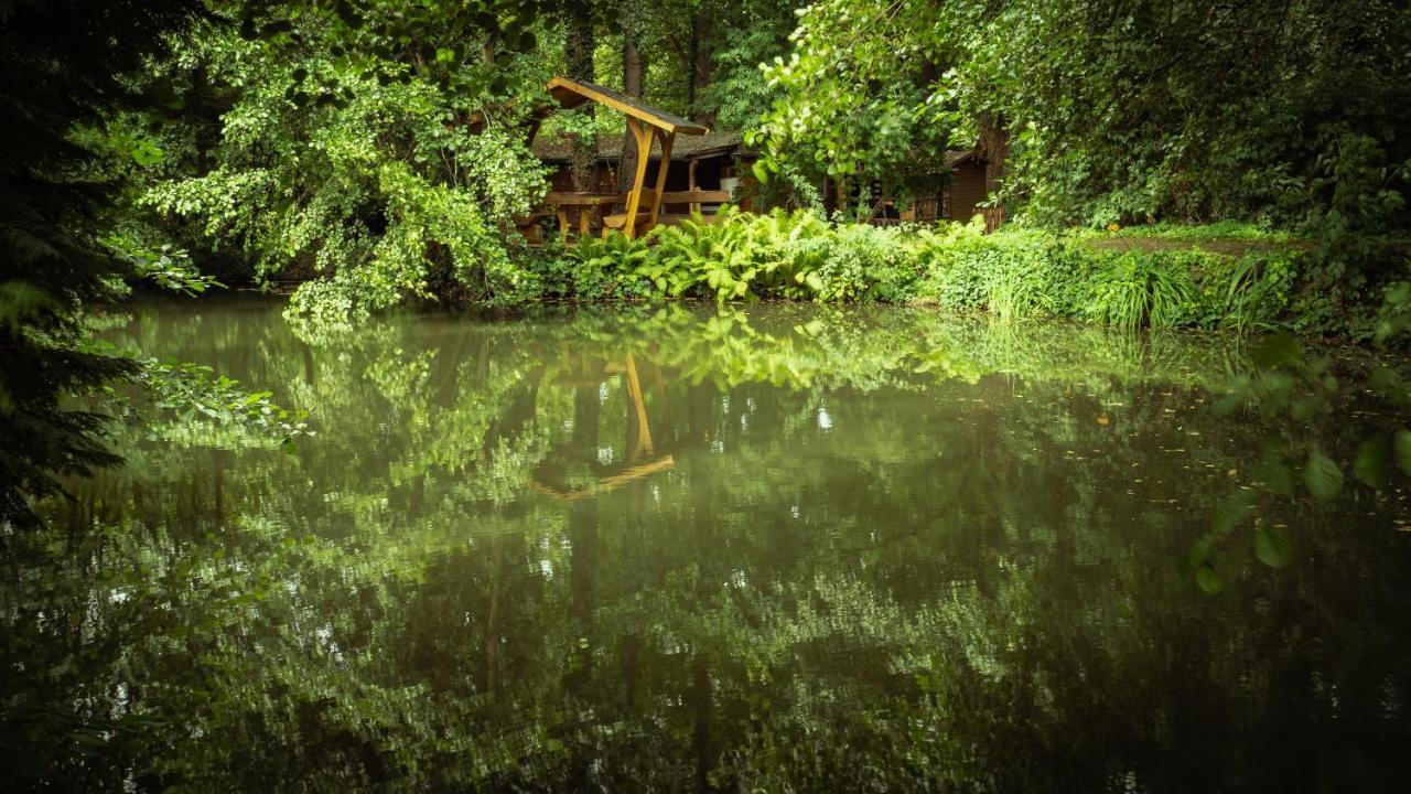 Hasenstall Rehburg-Loccum Bagian luar foto