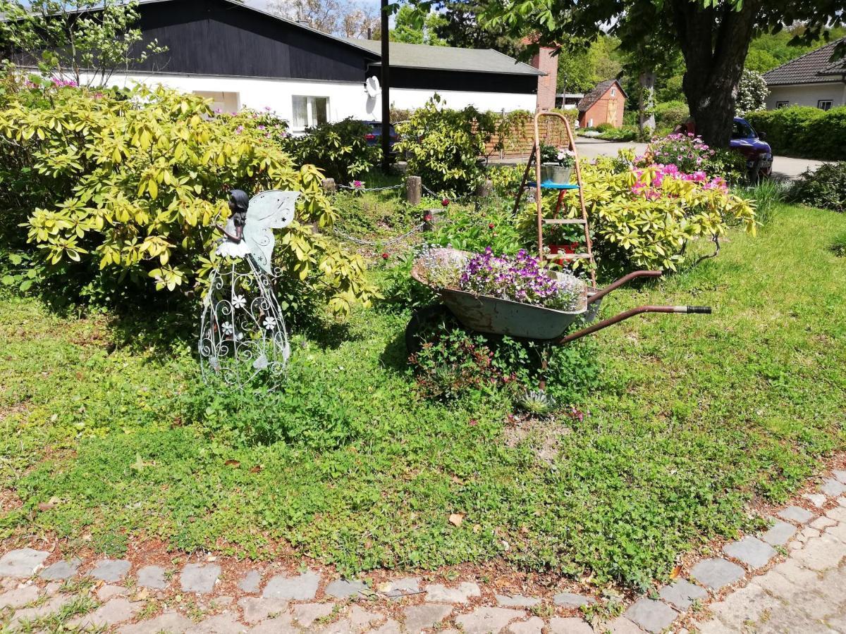 Hasenstall Rehburg-Loccum Bagian luar foto